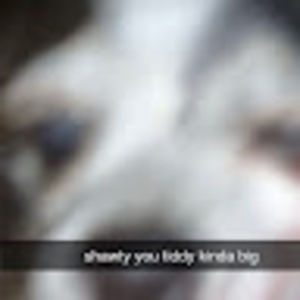 Meet your Posher, Savannahcoryn